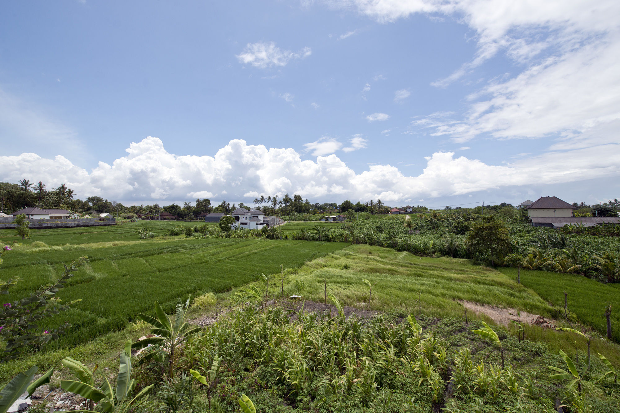 Paddy View Villa Kuta Lombok Kültér fotó